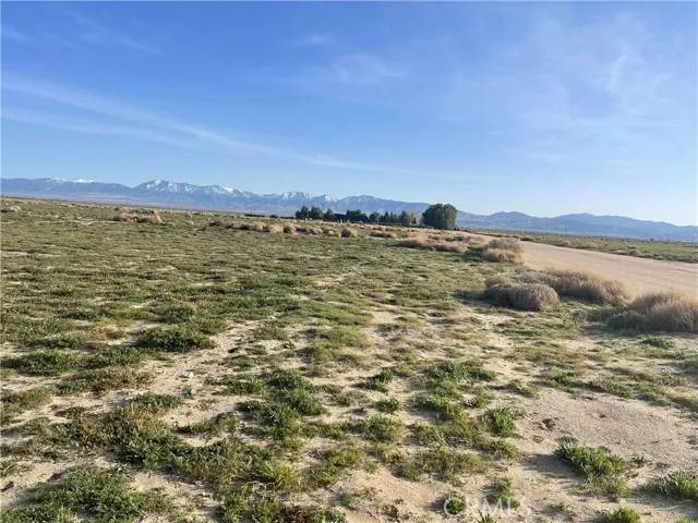 Palmdale, CA 93591,102 E Avenue M