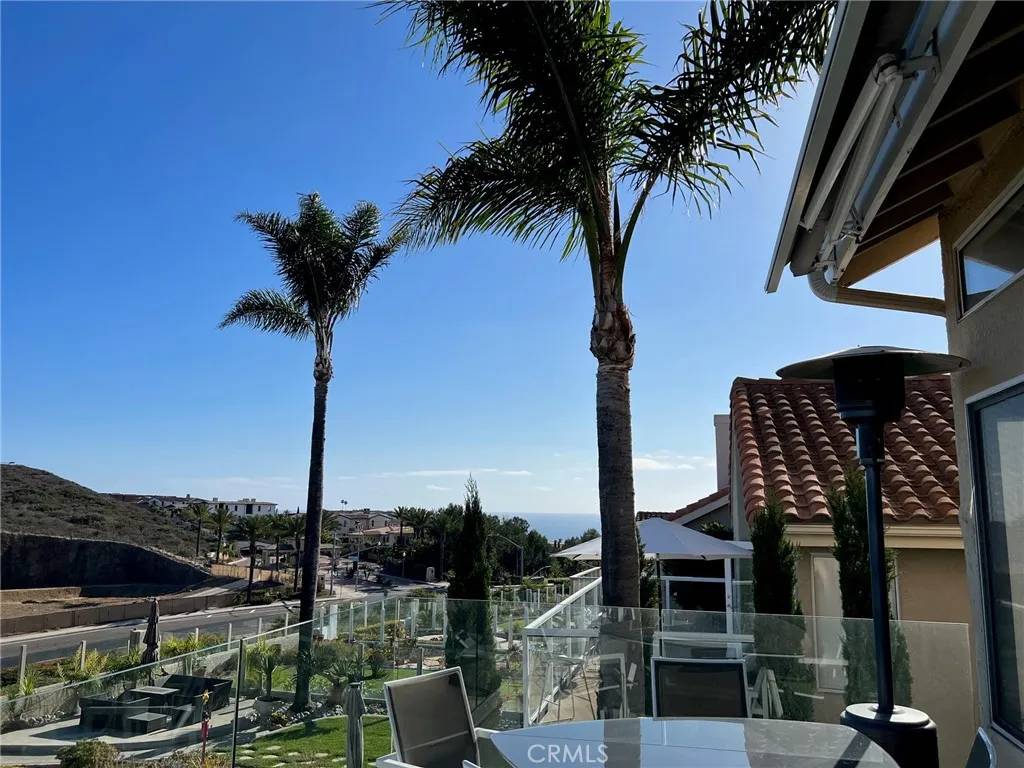 Dana Point, CA 92629,87 Palm Beach Court
