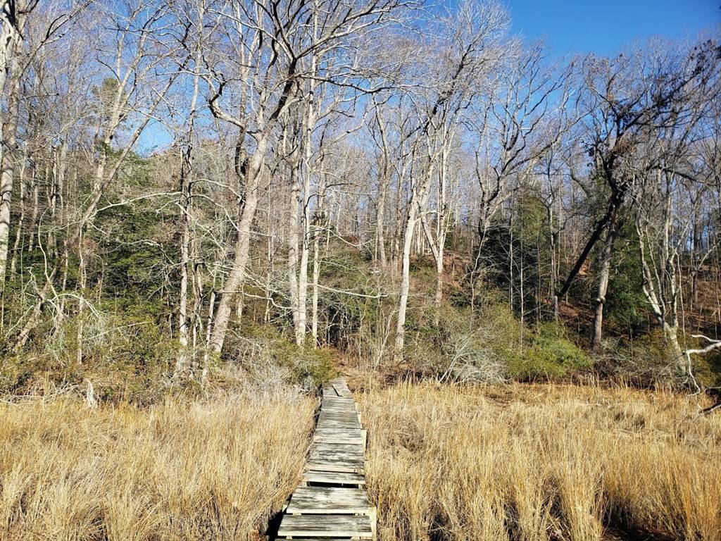 Urbanna, VA 23175,807 Red Hill Drive