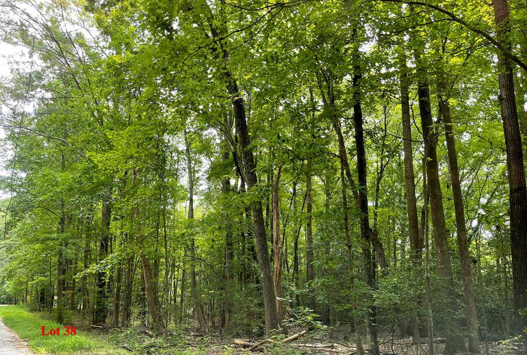 Heathsville, VA 22473,Lot 38 Wicomico Drive