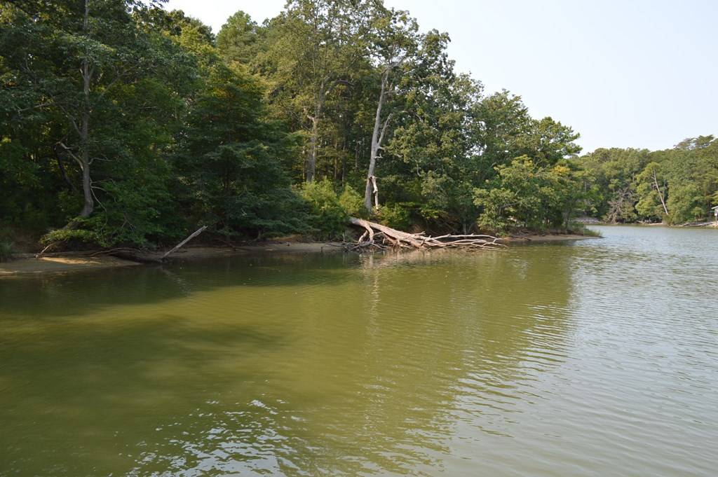 Reedville, VA 22539,Lot 7&8 Holly Harbor Road