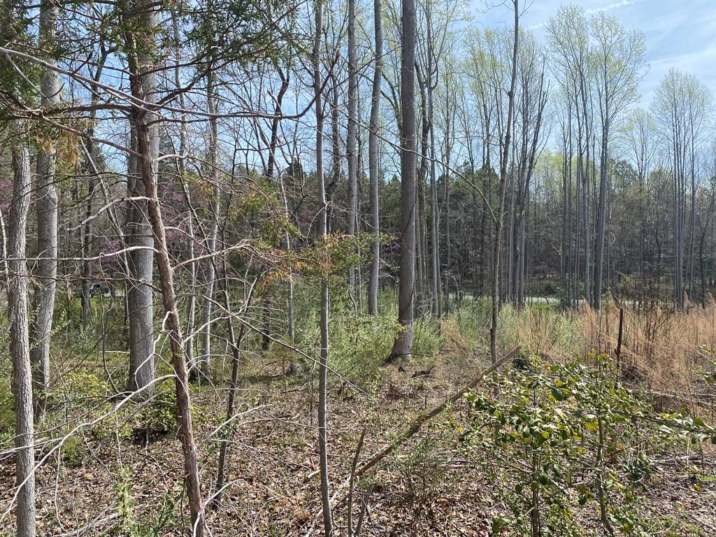 Weems, VA 22576,00 Lumberlost Rd