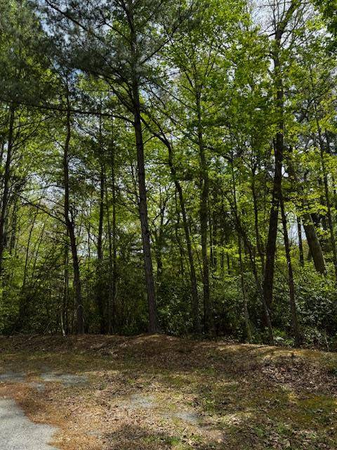Heathsville, VA 22473,Lot 10 Red Head Lane