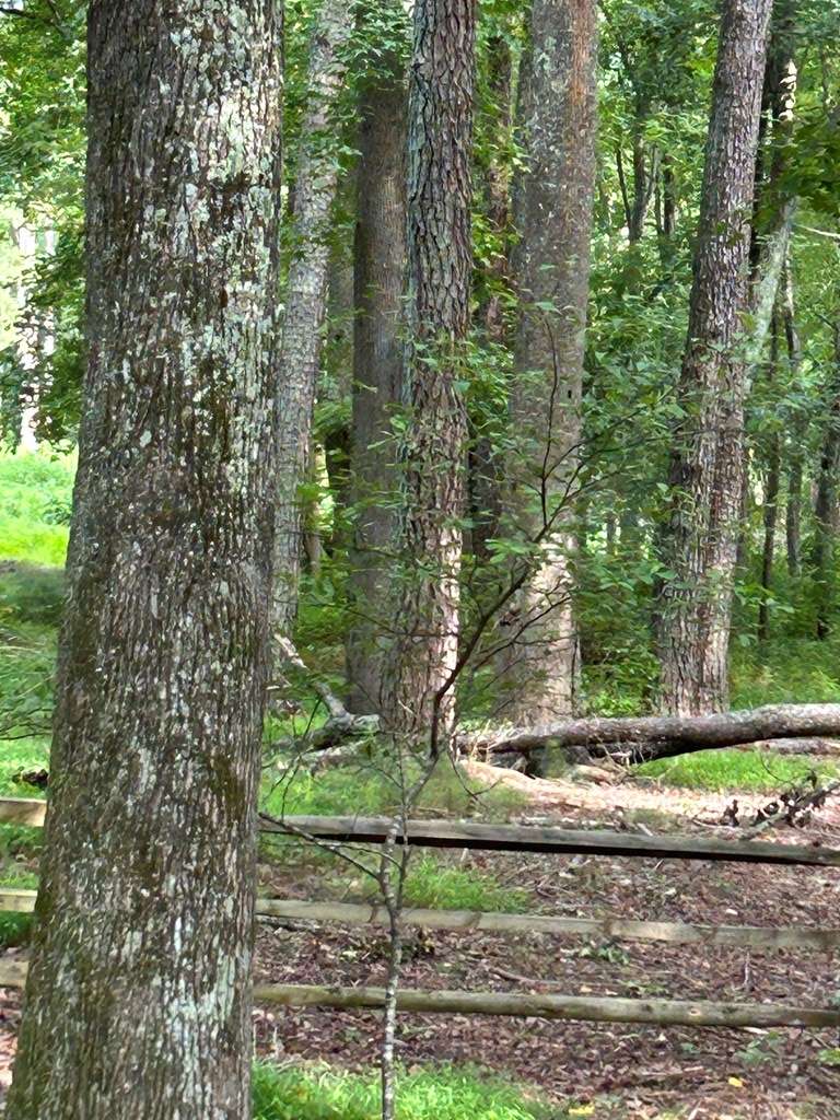 Heathsville, VA 22473,Lot 037 Crosshills Road
