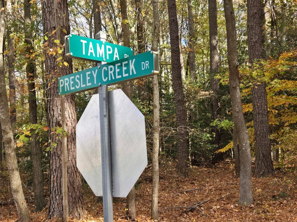 Heathsville, VA 22473,63 Tampa Place