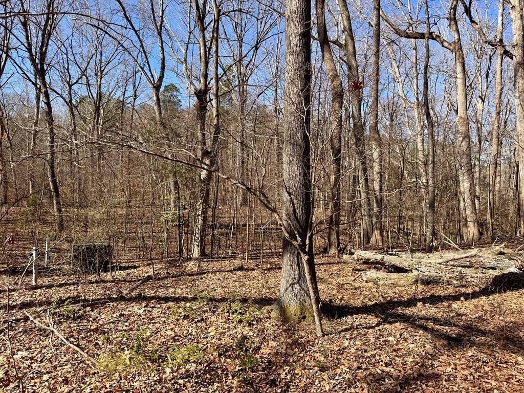 Irvington, VA 22480,13 Glenwood Lane