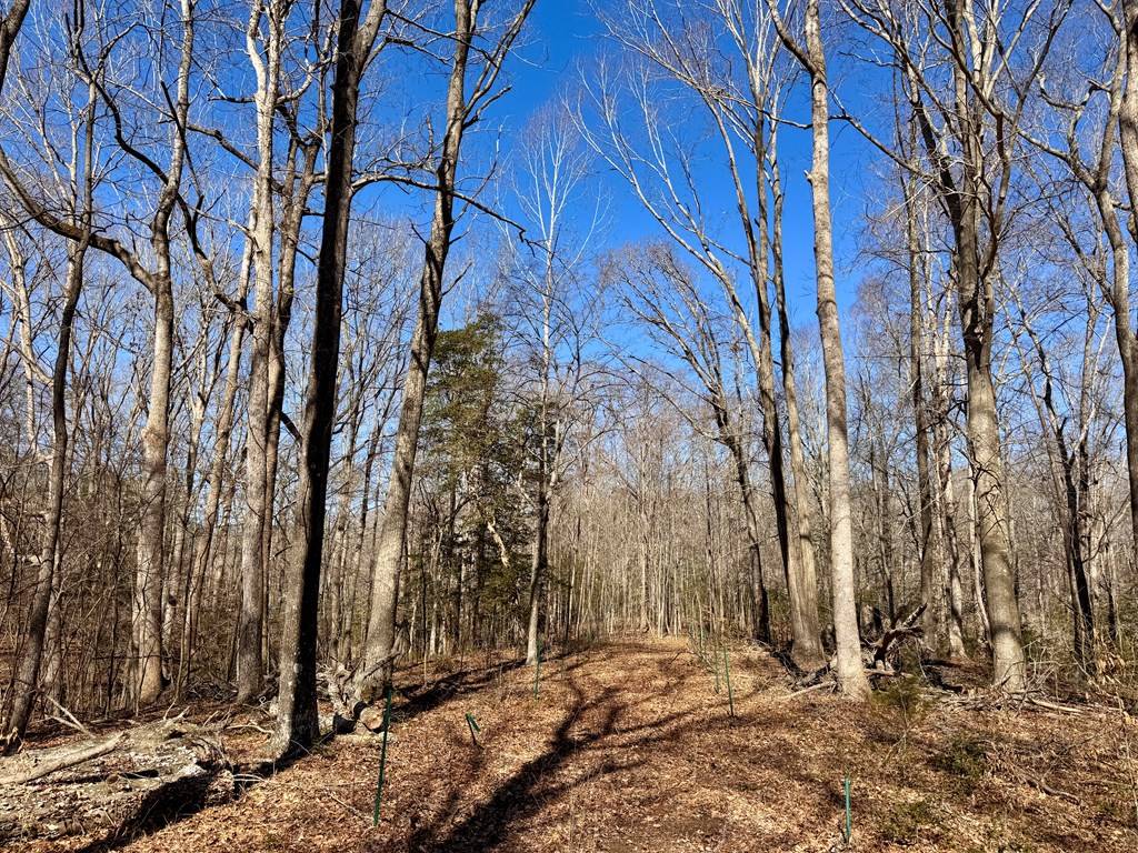 Irvington, VA 22480,13 Glenwood Lane