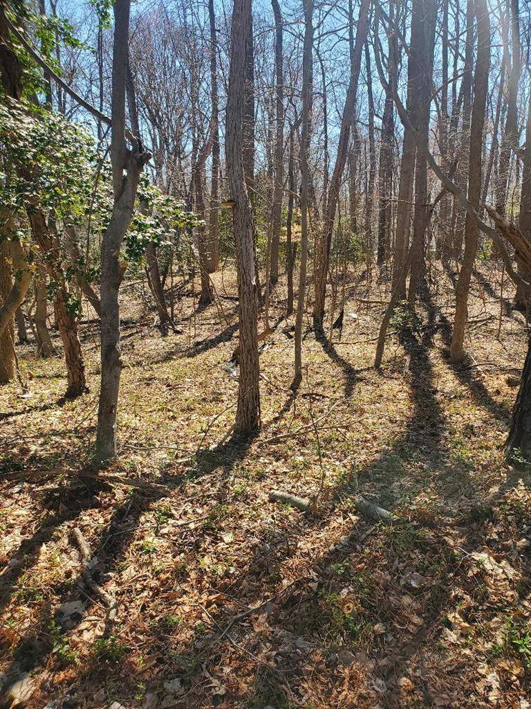 Montross, VA 22520,Lot 153 North Independence Drive