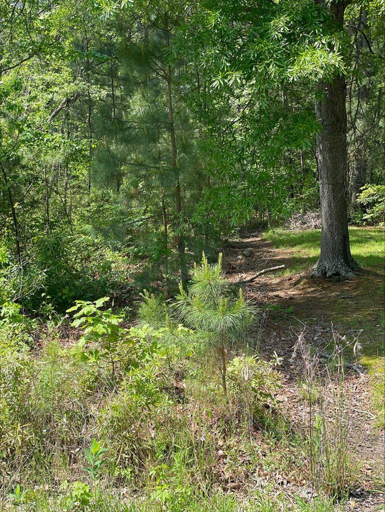 Colonial Beach, VA 22443,00 10th Street