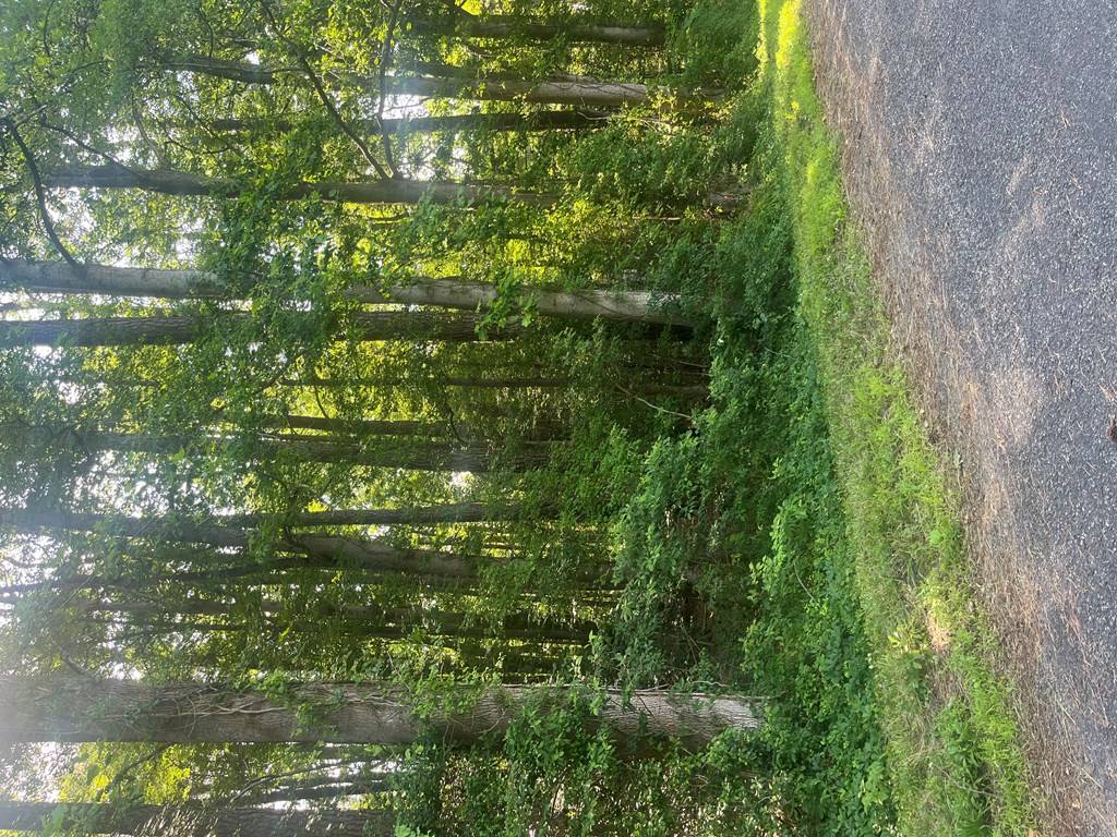 Reedville, VA 22539,51&52 McCormick Ct