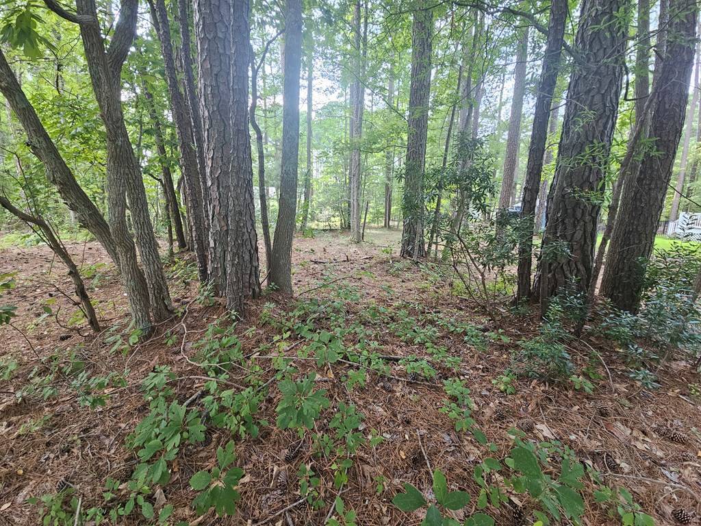 Montross, VA 22520,Lot 221 Egret Court