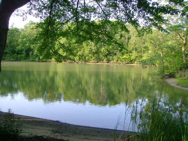 Wicomico Church, VA 22579,0 Hall Farm Drive
