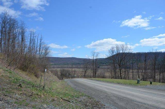 Towanda, PA 18848,Lot 17 Hemlock Hills Rd