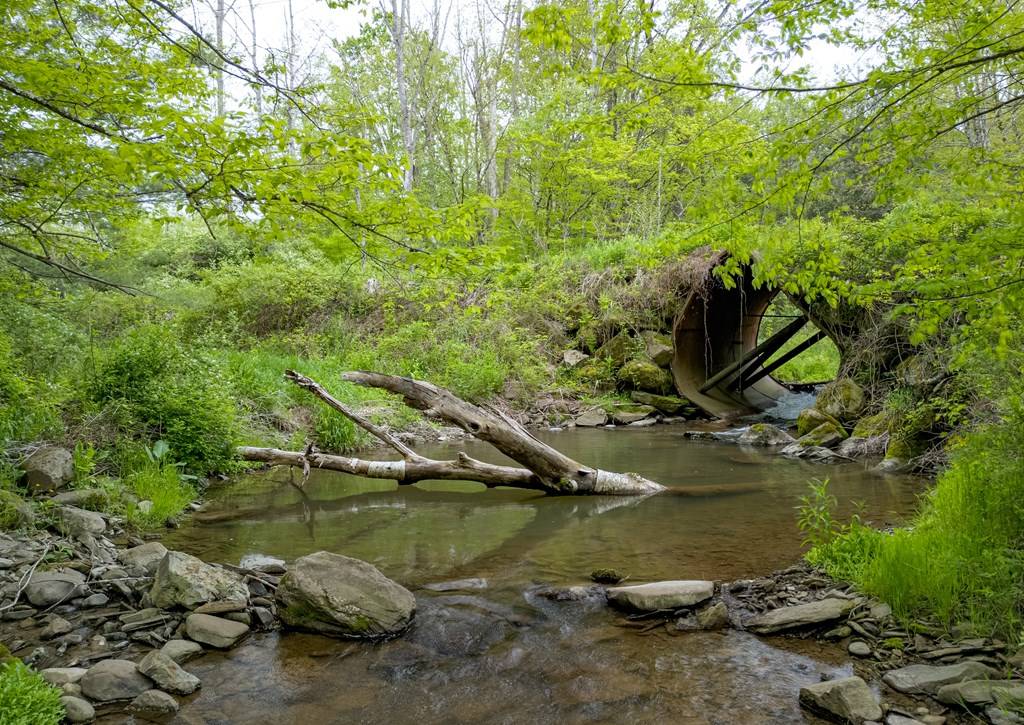 Lawrenceville, PA 16929,Lot A Buckwheat Hollow Road