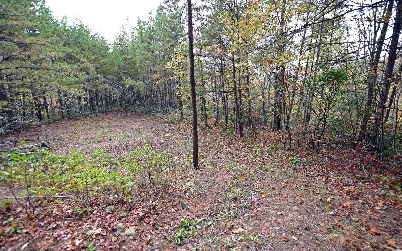 Andrews, NC 28901,TBD Mclean Road