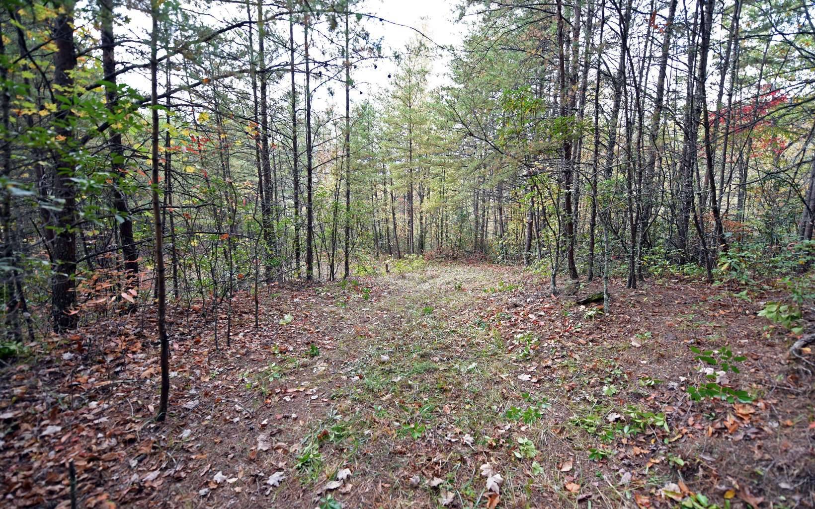 Andrews, NC 28901,TBD Mclean Road