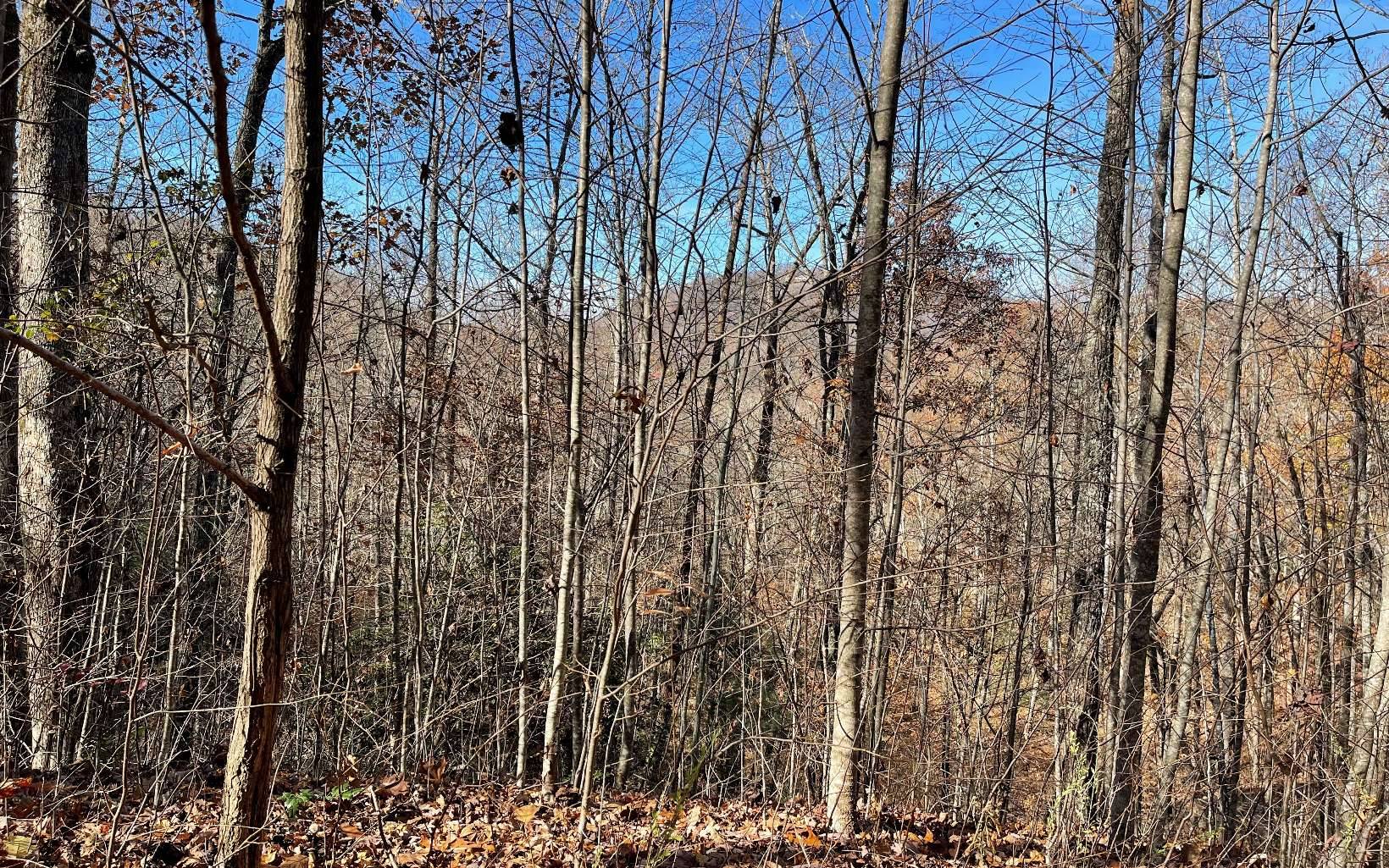 Hayesville, NC 28904,44J Ash Branch Drive
