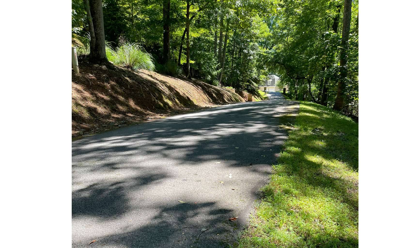 Hayesville, NC 28904,11B Grandview Drive