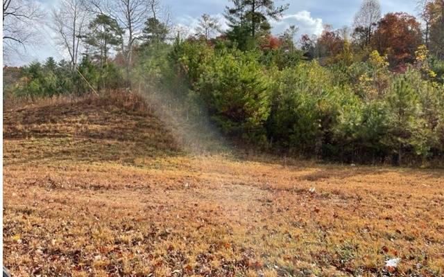 Hiawassee, GA 30546,TR1&2 Hwy 75n