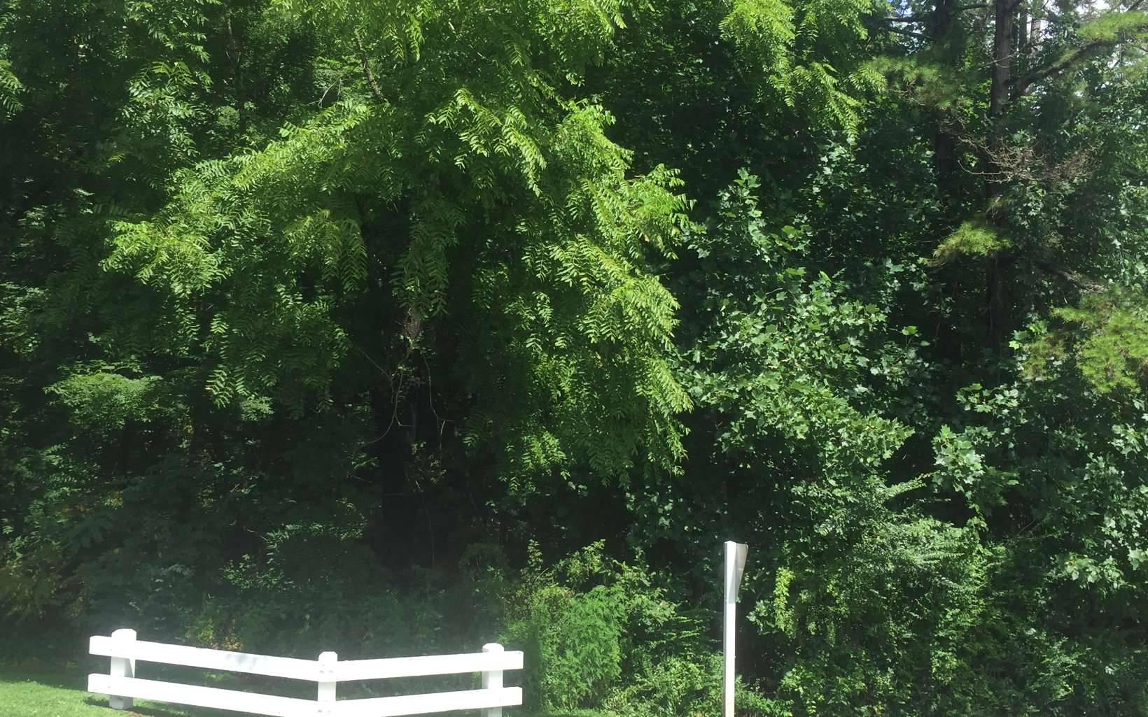 Hayesville, NC 28904,2 & 3 Chatuge Village Drive