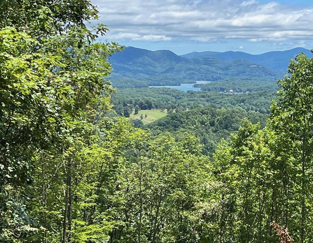 Hayesville, NC 28904,LT 10 Longview Ridge