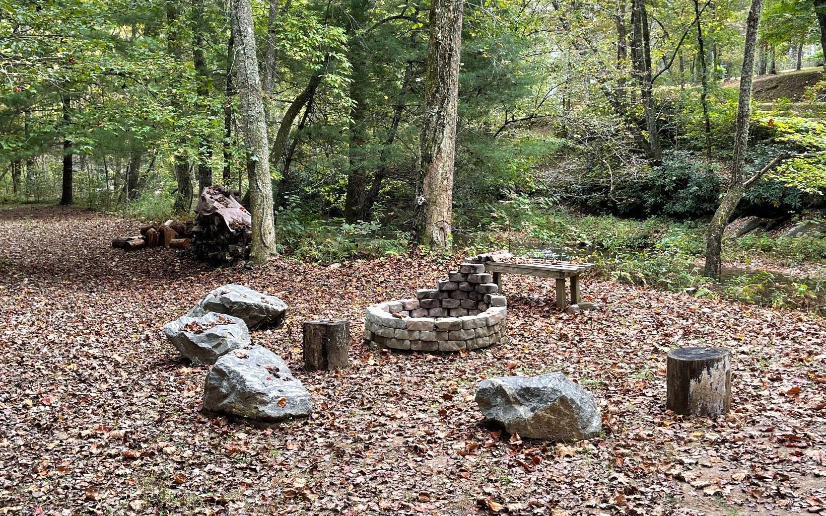 Hayesville, NC 28904,LT 58 Fires Creek Cove Road
