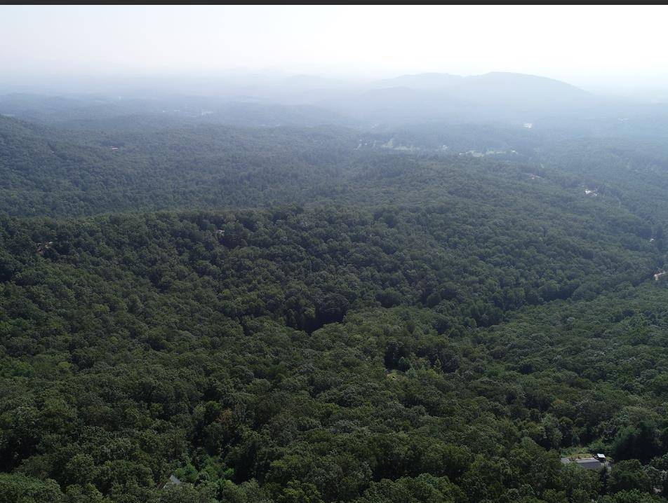 Murphy, NC 28906,LT107 Steep Cove Road