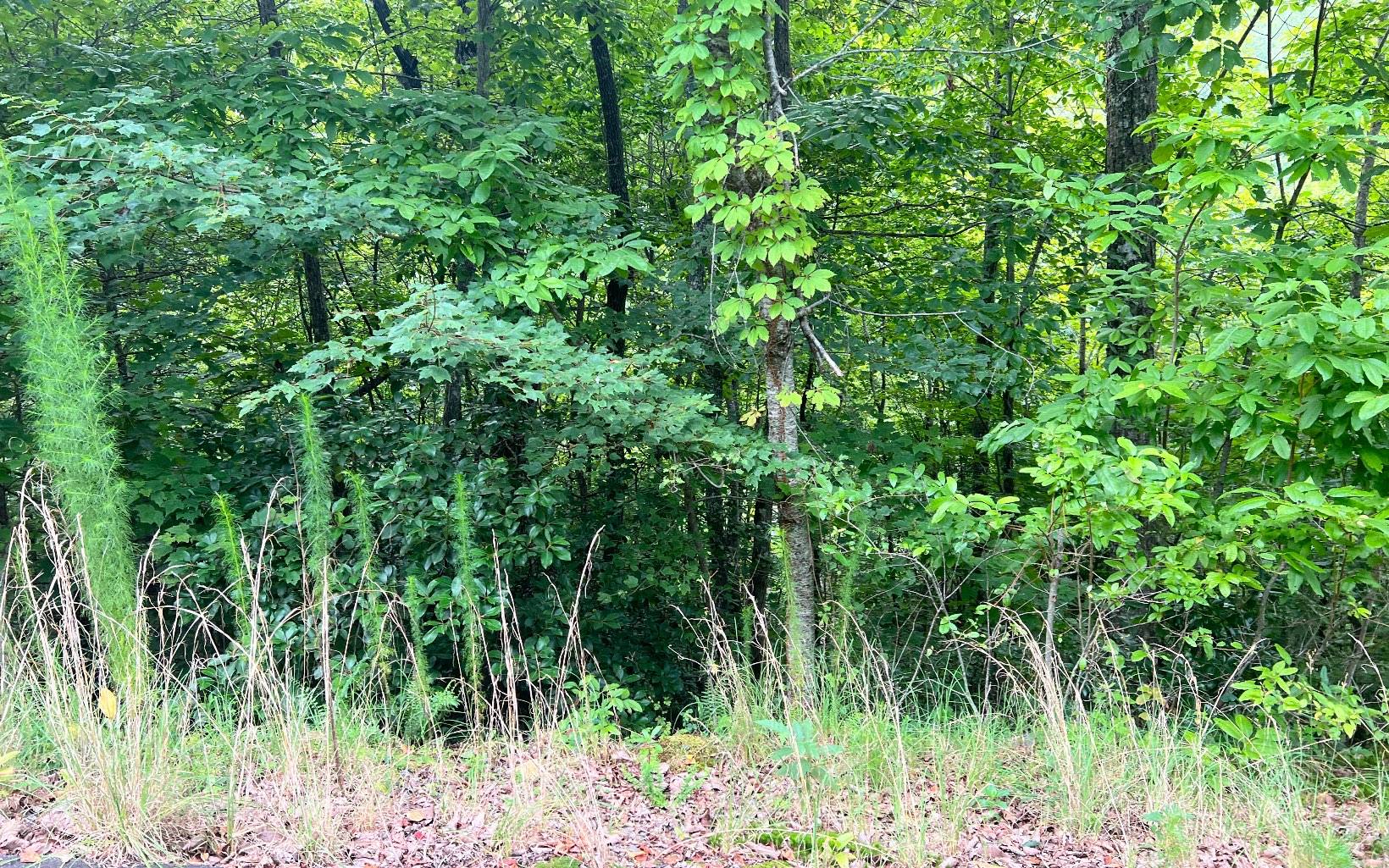 Brasstown, NC 28902,LOT 8 The Preserve At Beach Mountain
