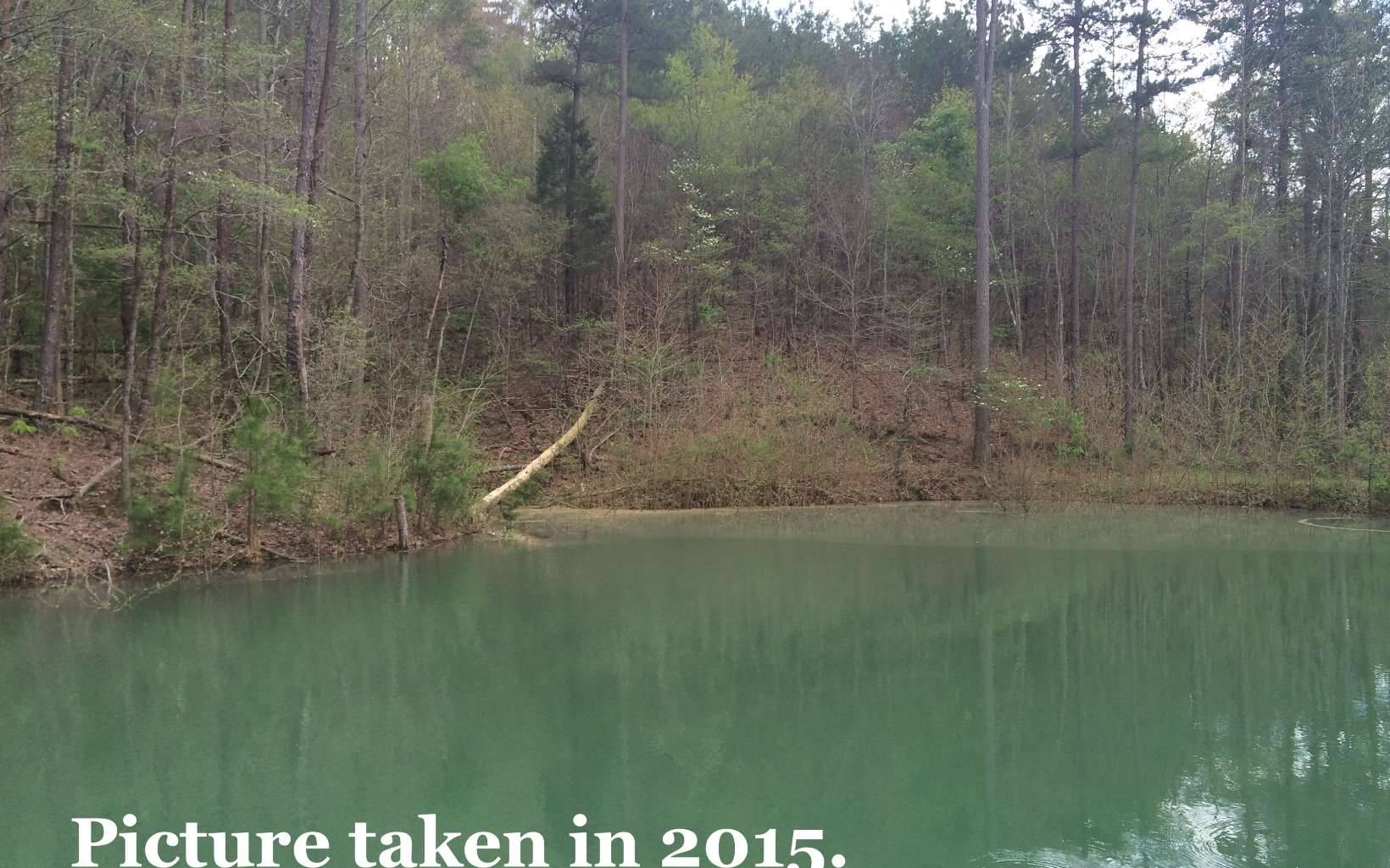 Ranger, GA 30734,0 Pinyan Road