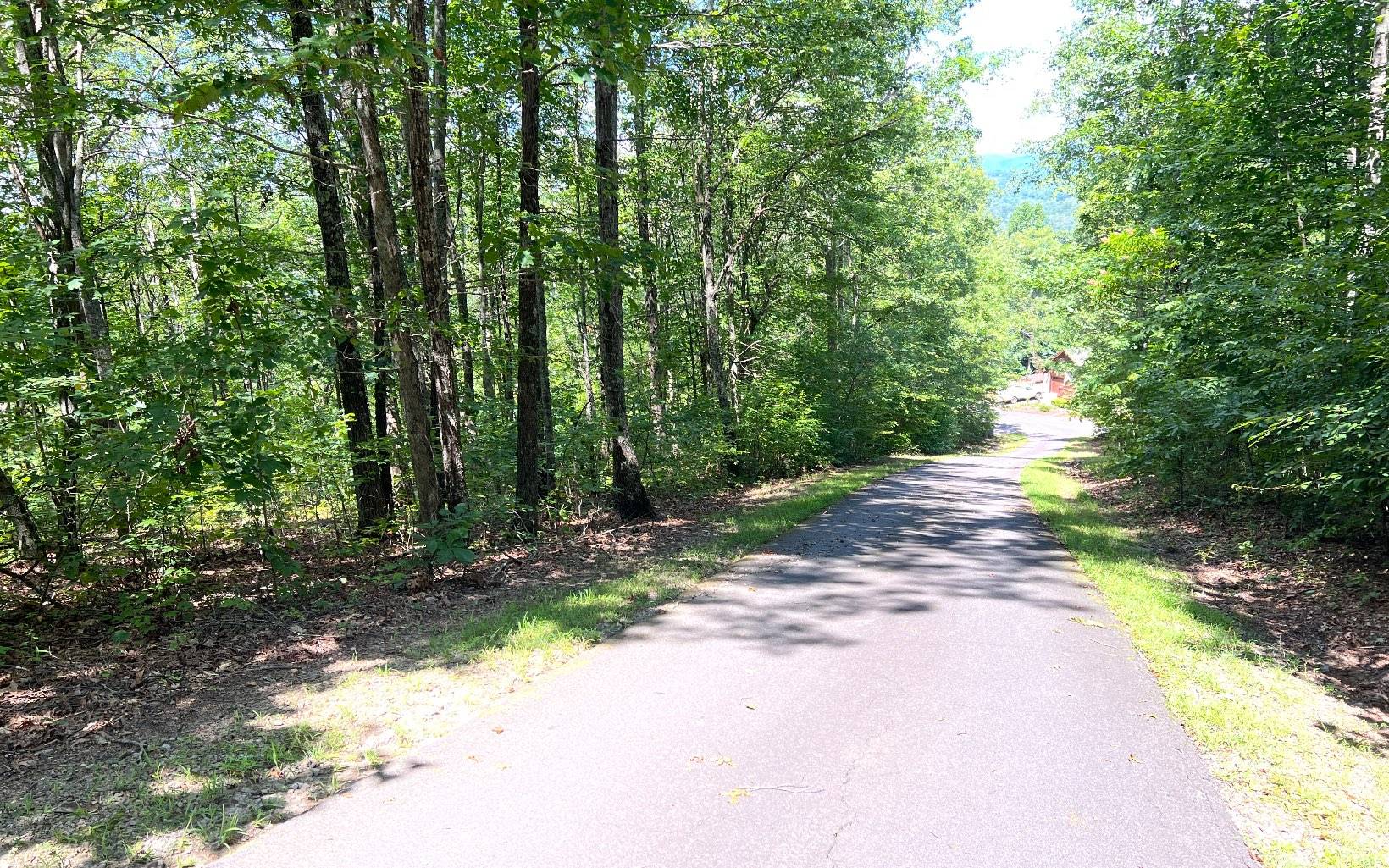 Brasstown, NC 28902,L 17A Trillium Heights