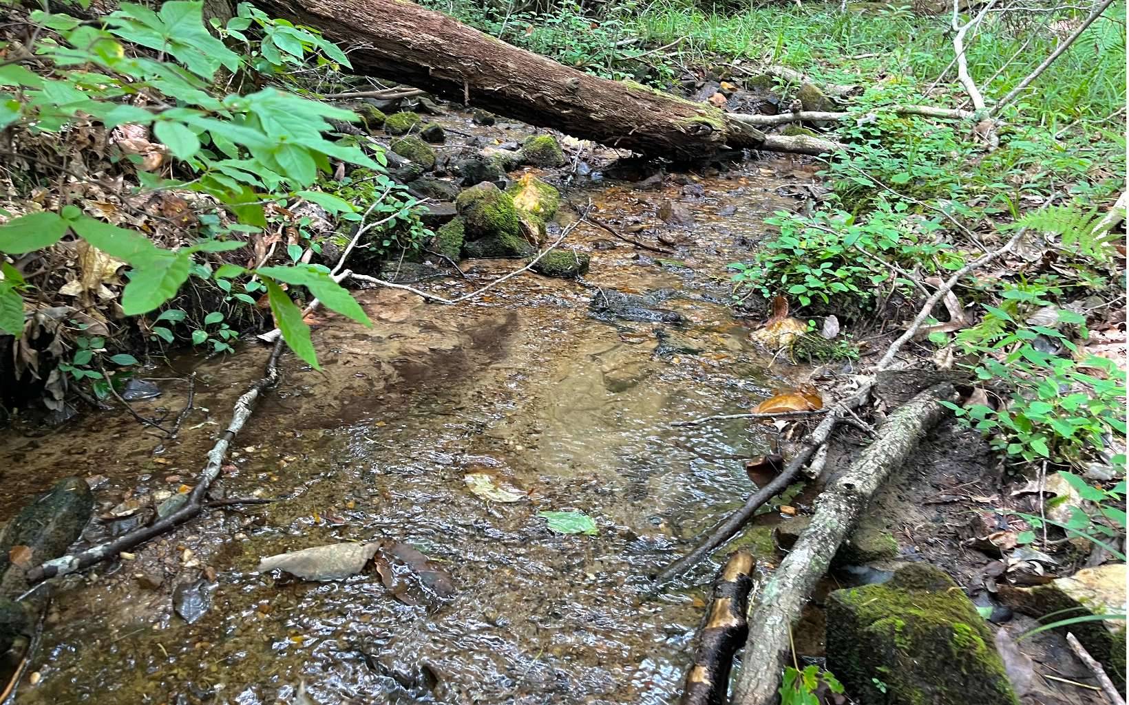 Blue Ridge, GA 30513,3.85 AC Old Aska Road S