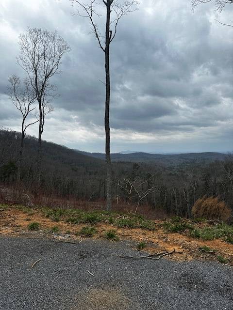 Ellijay, GA 30541,Lot 173 Shagbark Court