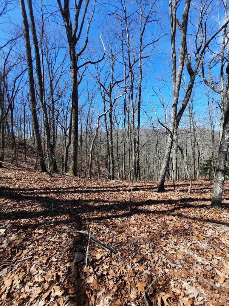 Murphy, NC 28906,Lot # 7 Quail Run Ridge