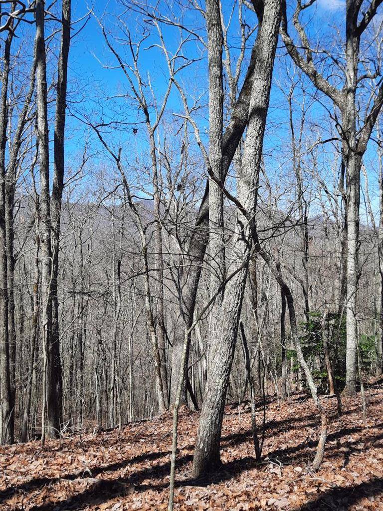 Murphy, NC 28906,Lot # 7 Quail Run Ridge