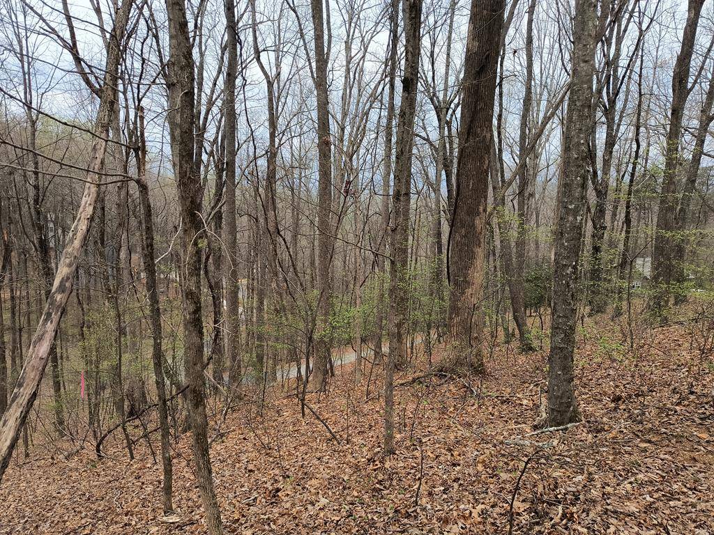 Ellijay, GA 30536,M99 Sleepy Hollow Road