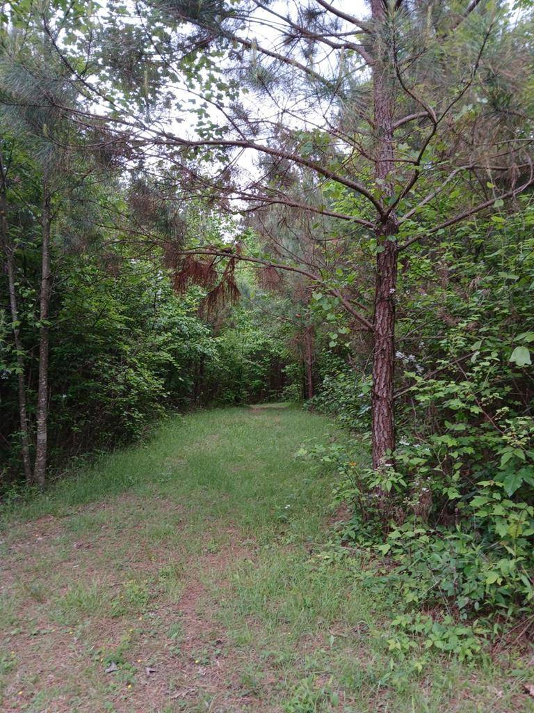 Ellijay, GA 30540,7.52 Ac. Hicks Ford Road