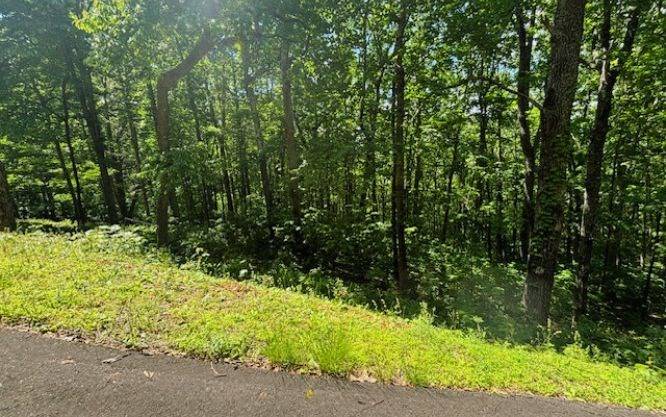 Young Harris, GA 30582,Lot 90 Rocky Knob Estates