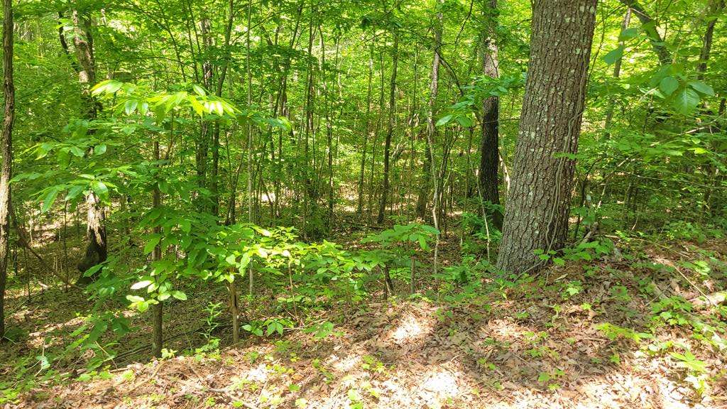 Young Harris, GA 30582,11,12 Mountain Laurel Est.