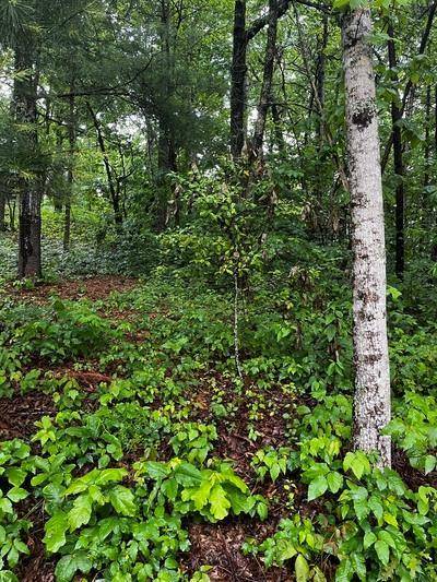 Hiawassee, GA 30546,Lt 9 Mcridge Drive