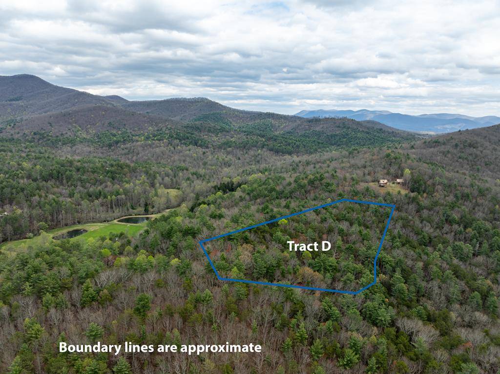 Ellijay, GA 30540,Tract D Harpers Creek Road