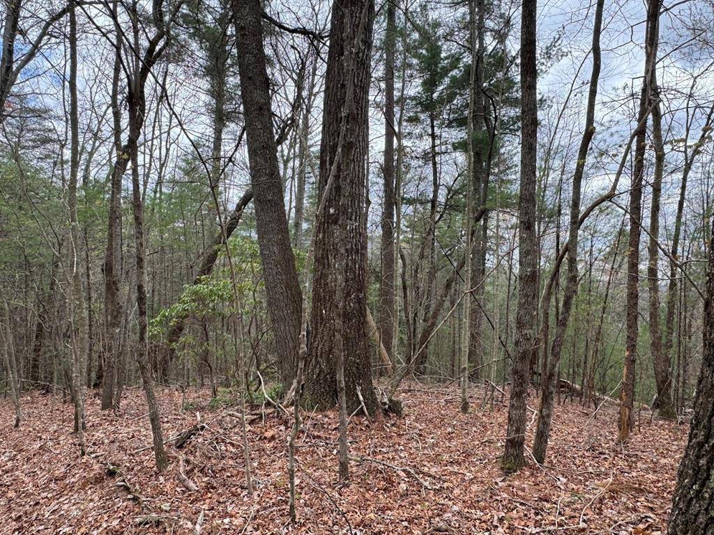 Ellijay, GA 30540,Tract D Harpers Creek Road