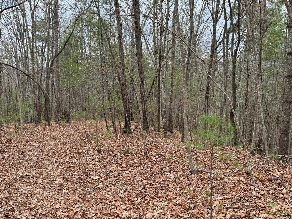 Ellijay, GA 30540,Tract A Harpers Creek Road