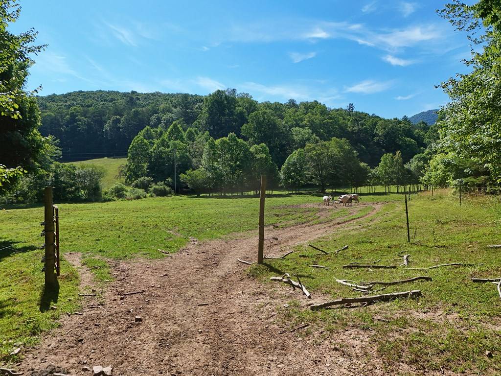 Blairsville, GA 30512,13.4AC Mount Pleasant Church Road