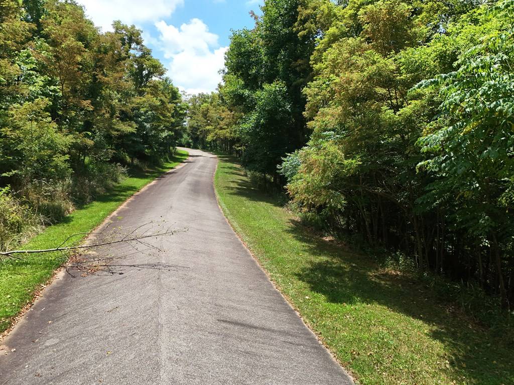 Blairsville, GA 30512,LT 34,36 Westside Drive