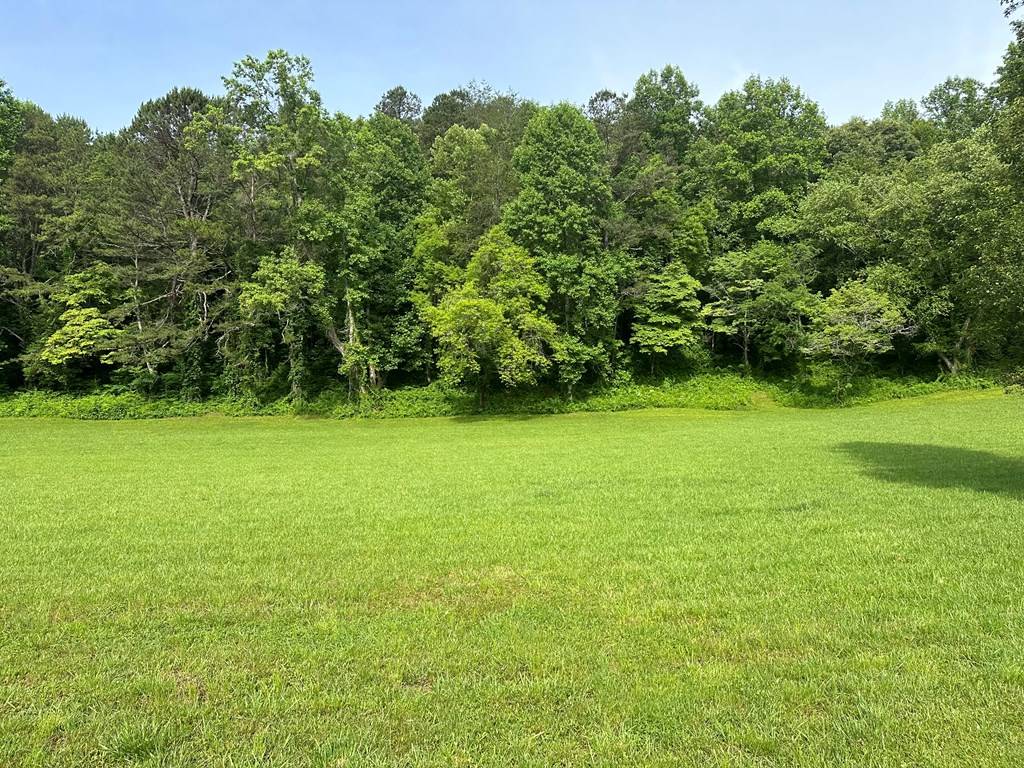 Warne, NC 28909,Lot 45 Prosperity Dr