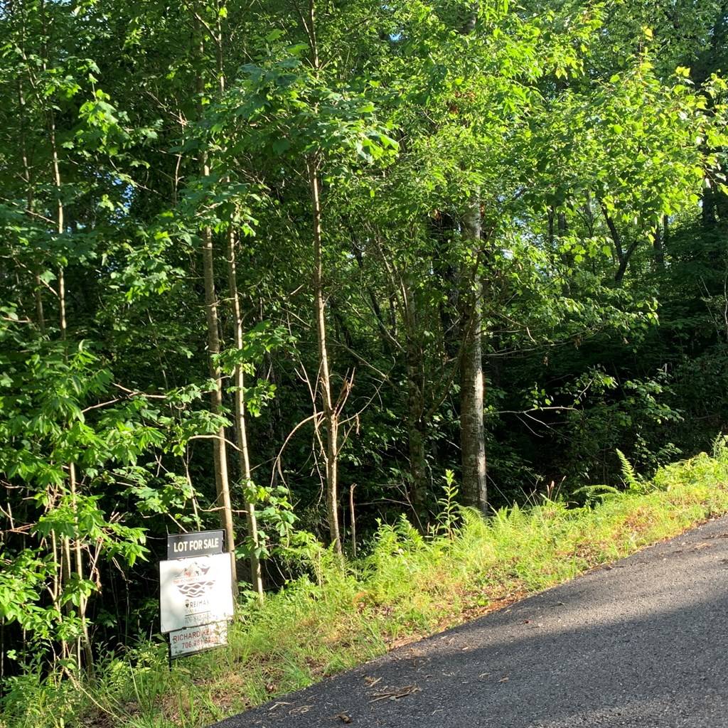 Warne, NC 28909,Lot 12 Cricket Lane
