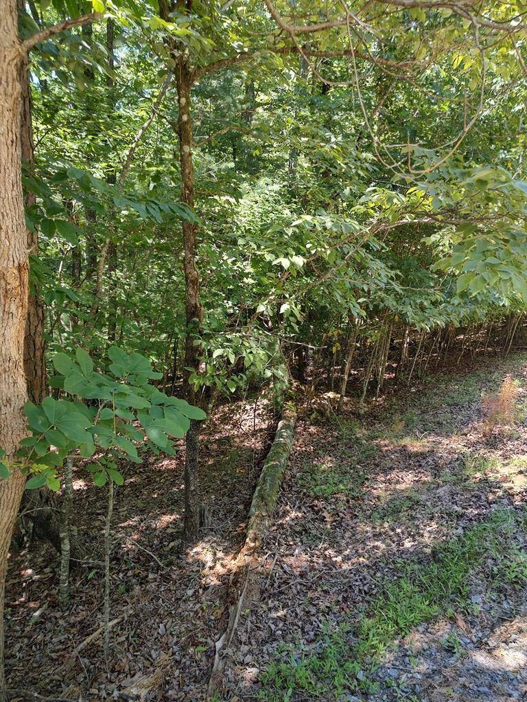 Ellijay, GA 30540,Lot 853 Matrix Lane