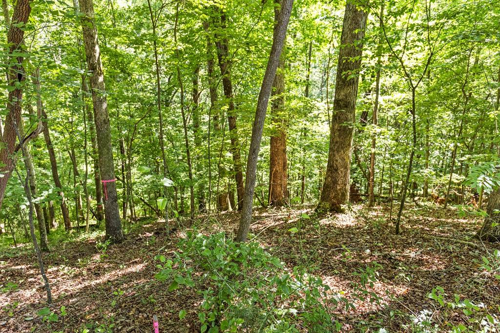 Ellijay, GA 30540,LOT 36 Timberwalk Drive