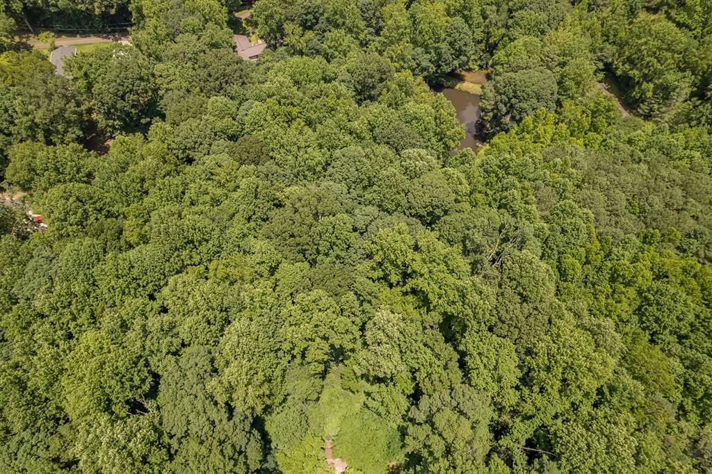 Jasper, GA 30143,0 Hickory Trail