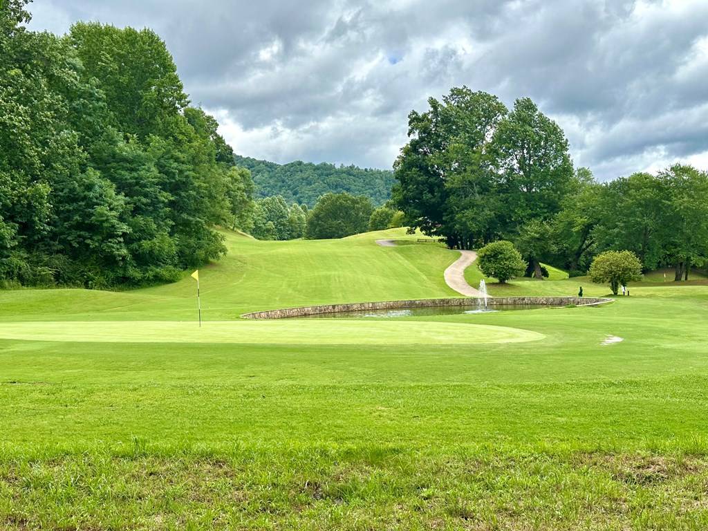 Hayesville, NC 28904,Lot 65C Mountain Harbour